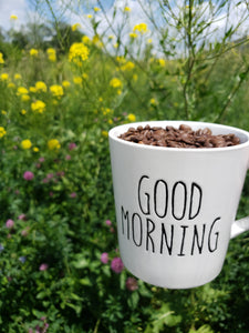 Edited good morning